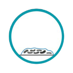 NordicBioCleanSolutions-Teknologi-Biofilm-developing