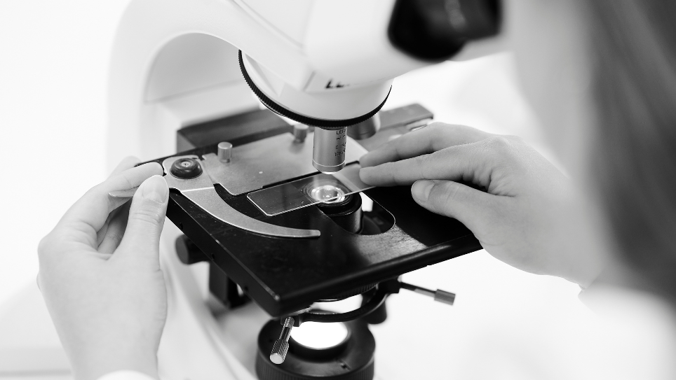 Nordic-BioClean-Solutions-Ydelser-1